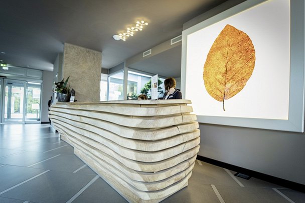 Aqualux Suite & Terme - Rezeption