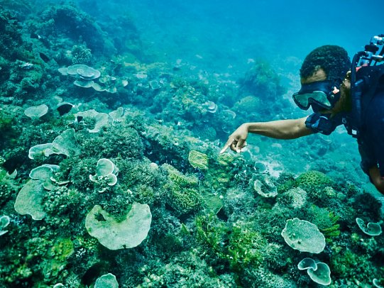 Aldiana Club Zanzibar