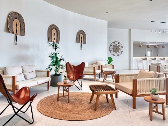 Domes Aulus Zante, Autograph Collection