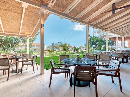 Domes Aulus Zante, Autograph Collection