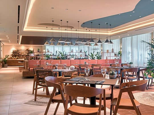 Domes Aulus Zante, Autograph Collection