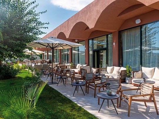 Domes Aulus Zante, Autograph Collection