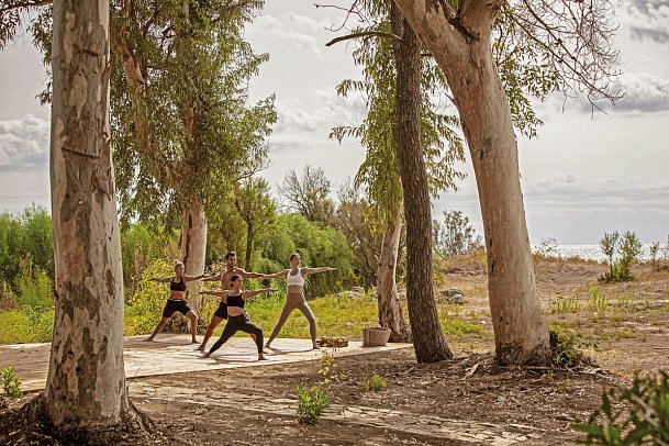 Domes Aulus Zante, Autograph Collection