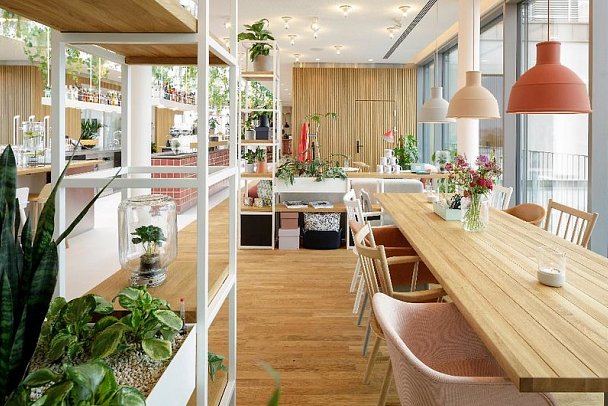 Zoku Vienna