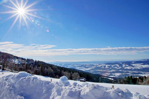 Waldhof Muhr