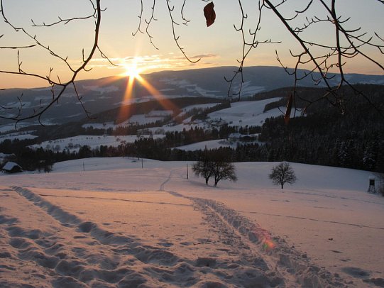 Waldhof Muhr