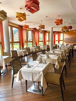 Spa Hotel Zedern Klang