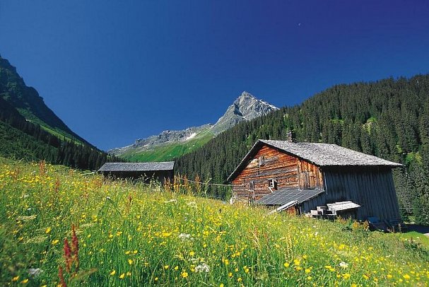 Garfrescha