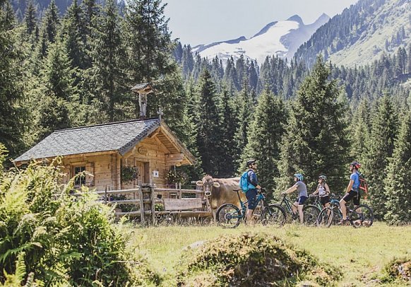 Hotel Konigsleiten Vital Alpin