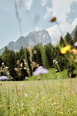 Hubertushof