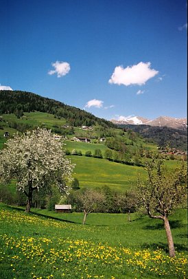 Hotel - Restaurant - Ferienanlage Stigenwirth