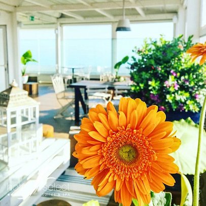 Select Suites & Spa