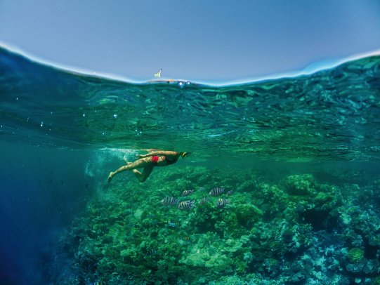 Rixos Premium Seagate