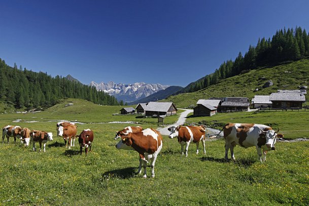 Gut Raunerhof