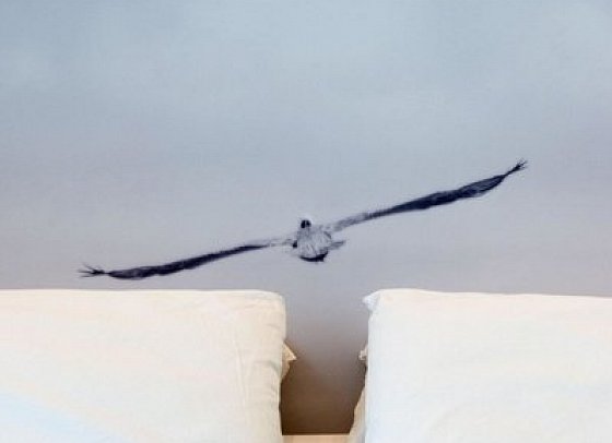 Hotel Mediterraneo