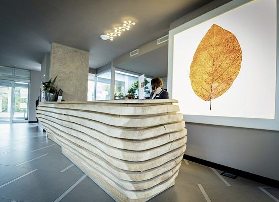 Aqualux Hotel Spa Suite & Terme