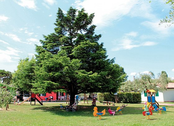 Camping Cisano & San Vito