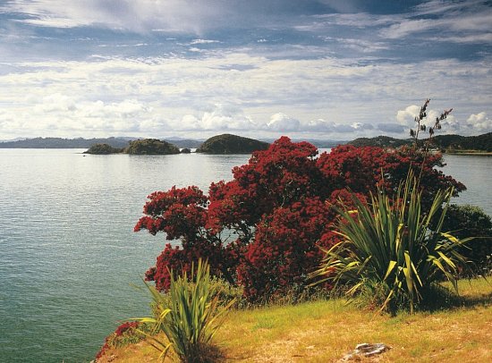 Klassische Neuseeland Rundreise - Bay of Islands