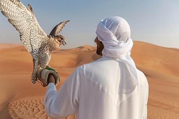 Anantara Qasr Al Sarab Desert Resort