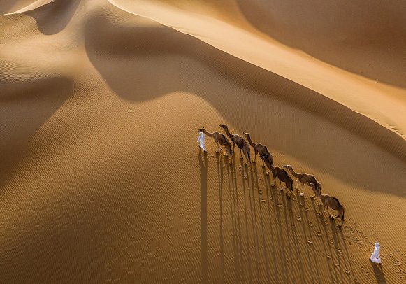 Anantara Qasr Al Sarab Desert Resort