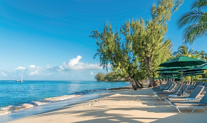 Coral Reef Club