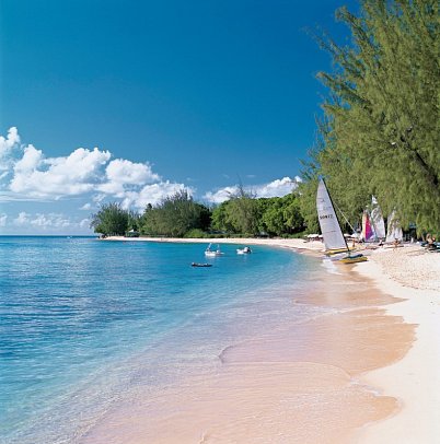 Coral Reef Club