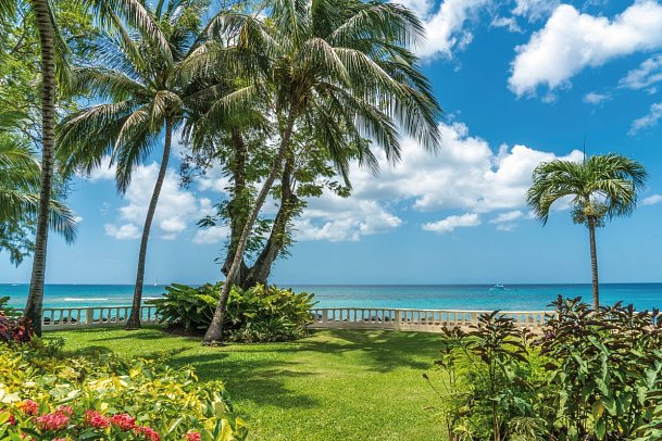 Coral Reef Club