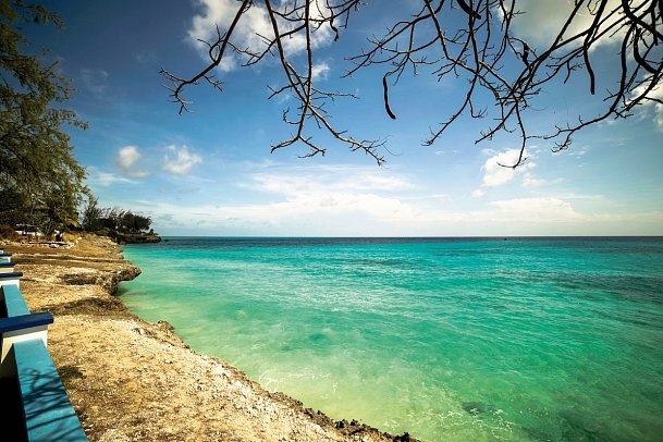 The Abidah by Accra Barbados