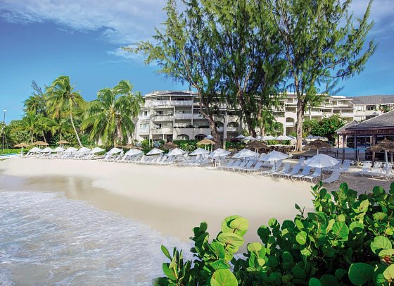 Bougainvillea Barbados