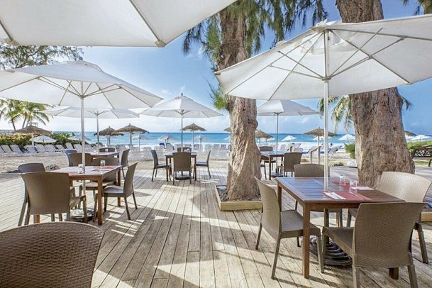 Bougainvillea Barbados