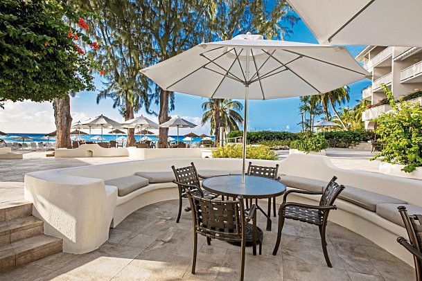 Bougainvillea Barbados