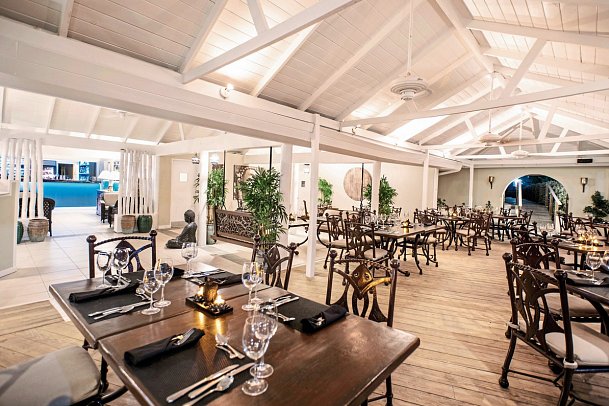 Bougainvillea Barbados