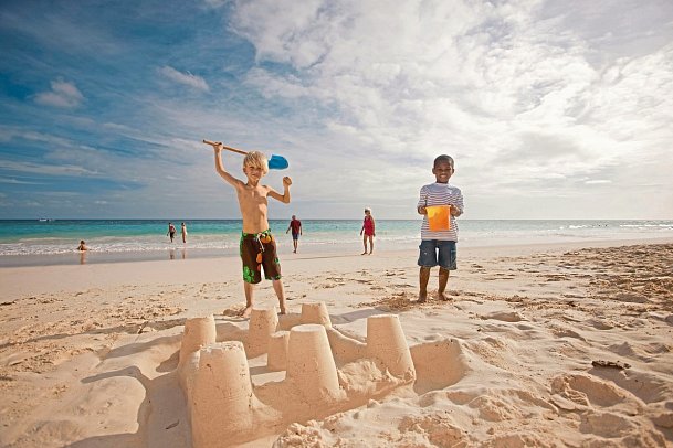 Bougainvillea Barbados