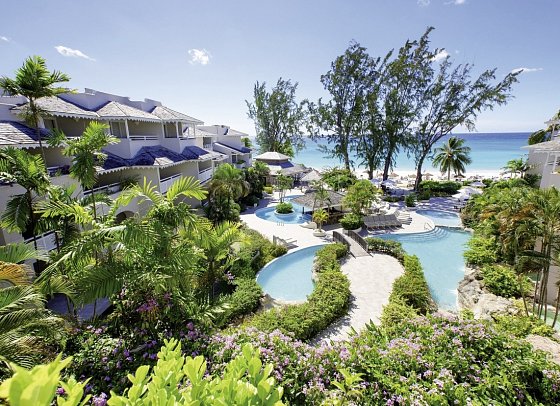 Bougainvillea Barbados
