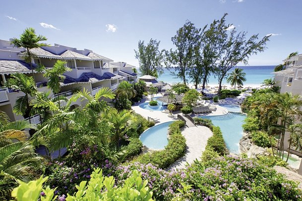 Bougainvillea Barbados