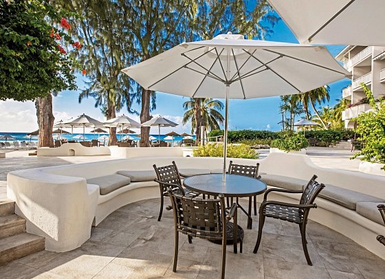Bougainvillea Barbados