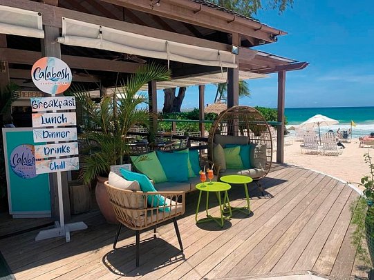 Bougainvillea Barbados