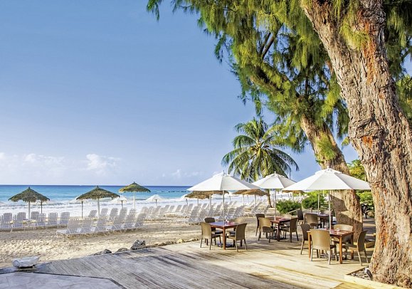 Bougainvillea Barbados