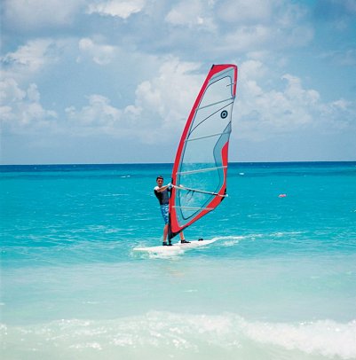 Bougainvillea Barbados