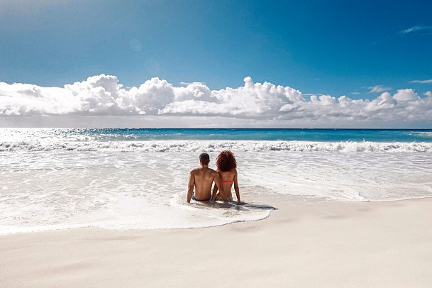 Bougainvillea Barbados