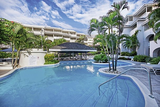 Bougainvillea Barbados