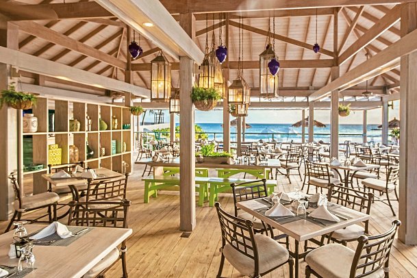 Bougainvillea Barbados