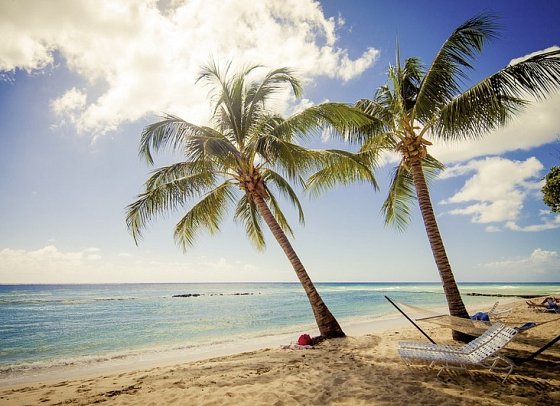 Sugar Bay Barbados