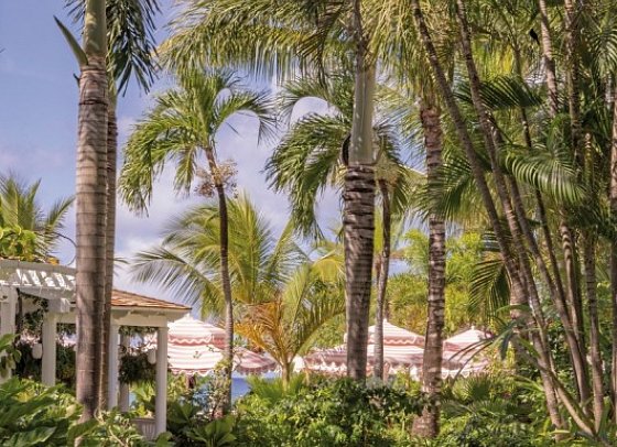 Cobblers Cove