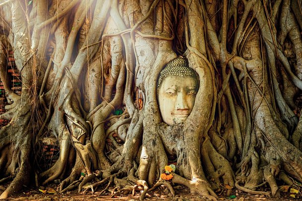 Nord-Thailand Kaleidoskop (Gruppenreise) - Mahathat Tempel, Ayutthaya