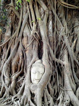 Thailand - Auf den Spuren von Land und Leuten (Gruppenreise) - Ayutthaya