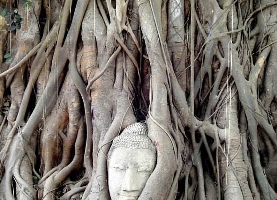 Thailand - Auf den Spuren von Land und Leuten (Gruppenreise) - Ayutthaya