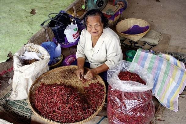 Auf in den Süden (Autoreise)