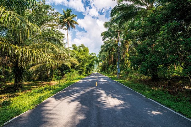 Auf in den Süden (Autoreise) - Thailand National Park, Phuket