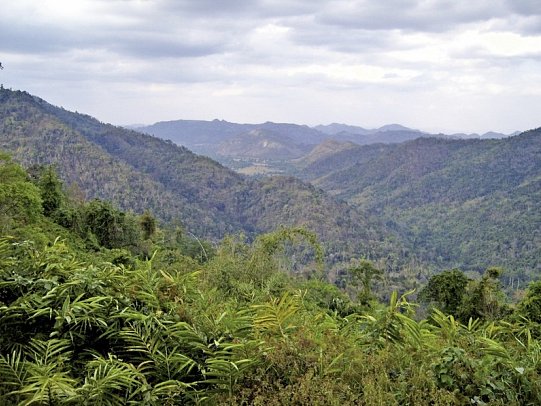 Khao Yai Nationalpark